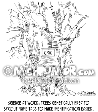 Tree Cartoon 1095