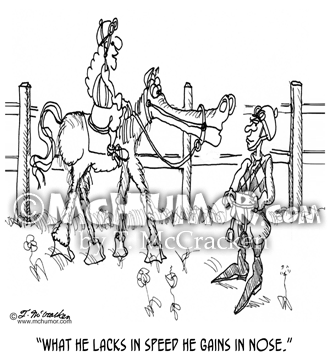 Horse Cartoon 1472