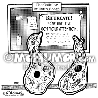 Biology Cartoon 1934