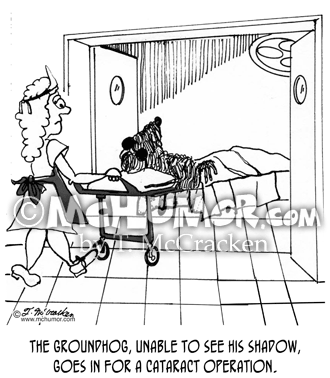 Groundhog Cartoon 1974