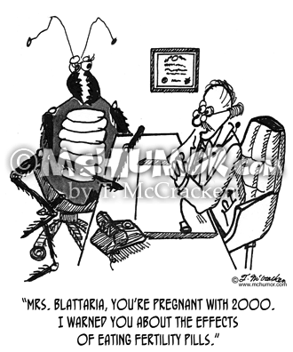 Cockroach Cartoon 1984