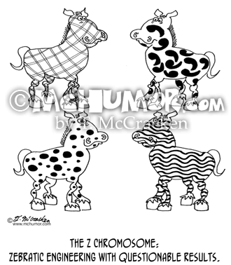 Zebra Cartoon 5502