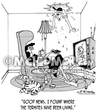 Termite Cartoon 6171