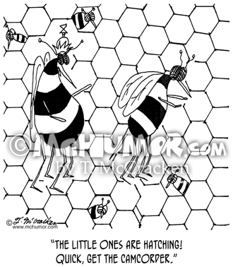 Bee Cartoon 6490
