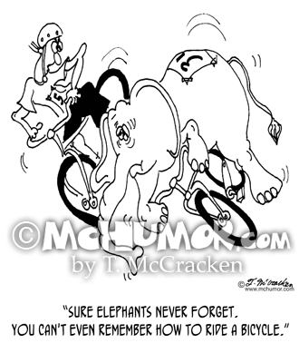Bike Cartoon 6724: A bike racer saying to an elephant that's just fallen off a bicycle, "Sure elephants never forget. You can't even remember how to ride a bicycle."