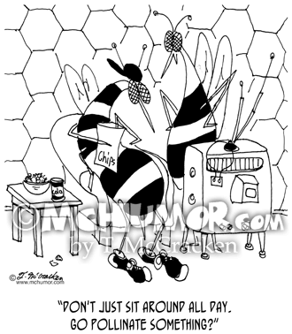 Bee Cartoon 7041