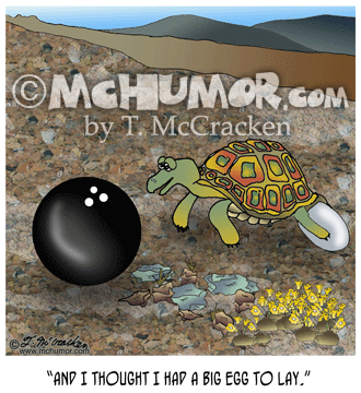 Tortoise Cartoon 8042
