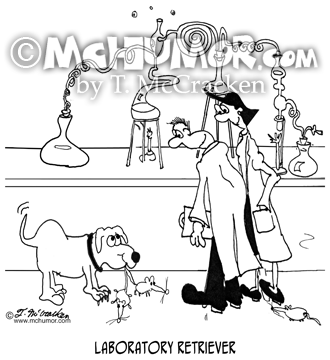 Dog Cartoon 8848