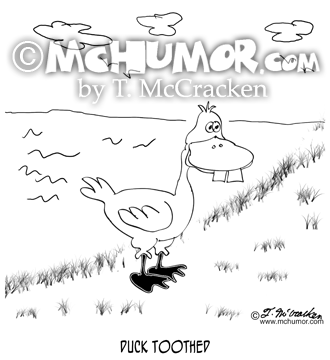 Duck Cartoon 8863