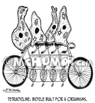 Bicycle Cartoon 8889