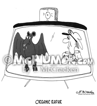 Bat Cartoon 5118