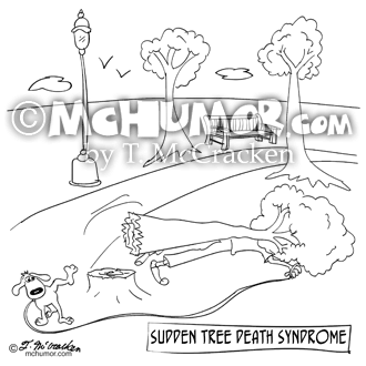 Tree Cartoon 9316