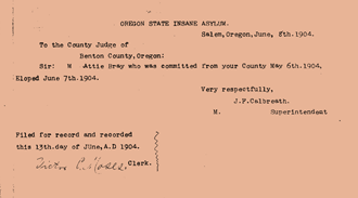 Attie Bray's Insane Asylum Commitment Documents