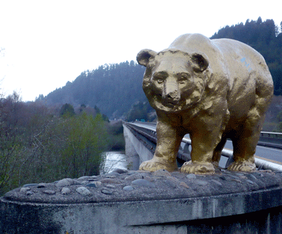 Golden Bears on Klamath River