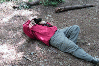 T- taking a photo in the Redwoods