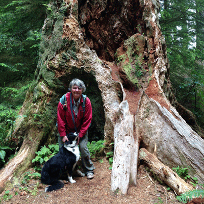 Sam, T-, and the Spruce Throne.