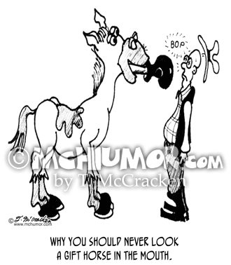 Horse Cartoon 2837