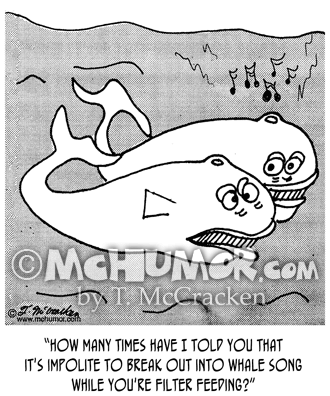 Whale Cartoon 3140
