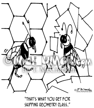 Bee Cartoon 3244