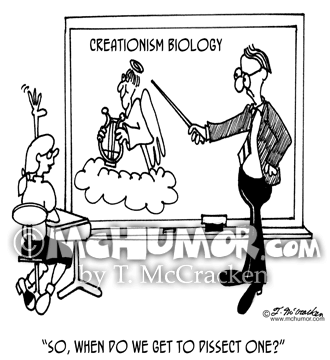 Creationism Cartoon 4279