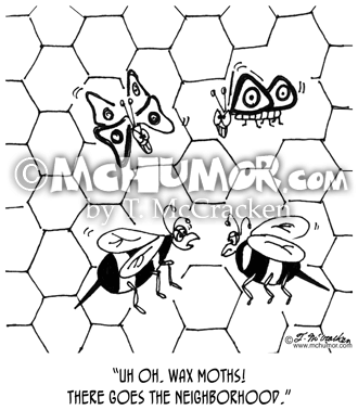 Bee Cartoon 4504