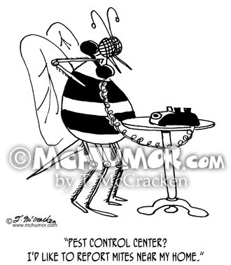 Bee Cartoon 5053