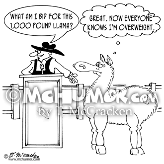 Llama Cartoon 5598
