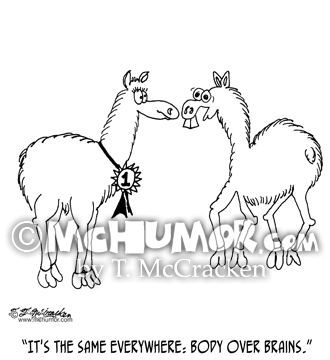 Llama Cartoon 5599