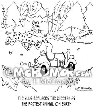 Cheetah Cartoon 5869