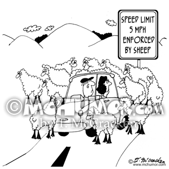 Sheep Cartoons Page 1