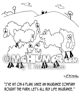 Sheep Cartoon 6603
