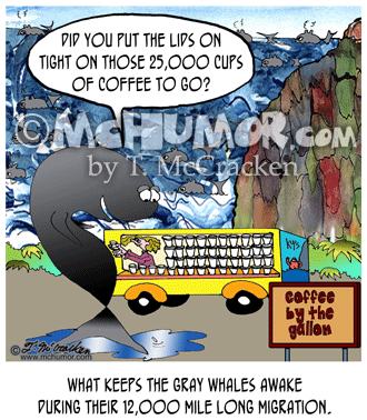 Whale Cartoon 6632