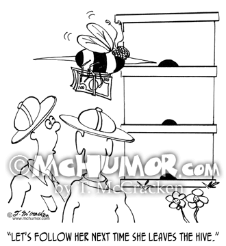 Bee Cartoon 6686