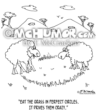 Sheep Cartoon 6694