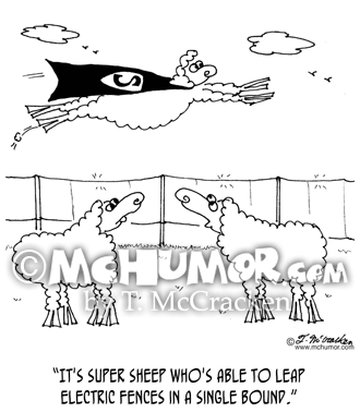 Sheep Cartoon 6772