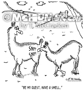 Llama Cartoon 7139
