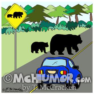 Bear Cartoon 8893