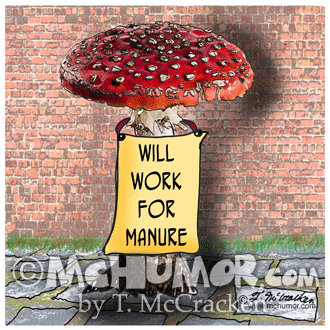 Mushroom Cartoon 9154