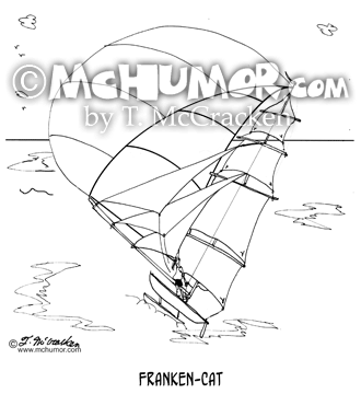 Catamaran Cartoon 7459
