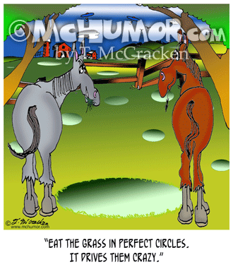 Horse Cartoon 8829
