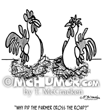 Chicken Cartoon 2648