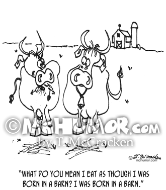 Cow Cartoon 3348