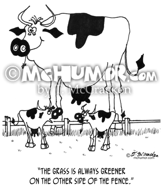 Cow Cartoon 3372