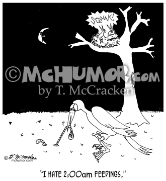 Bird Cartoon 4783