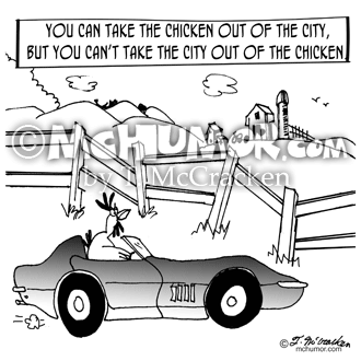 Chicken Cartoon 9484