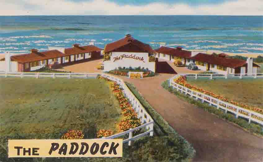A Paddock Postcard