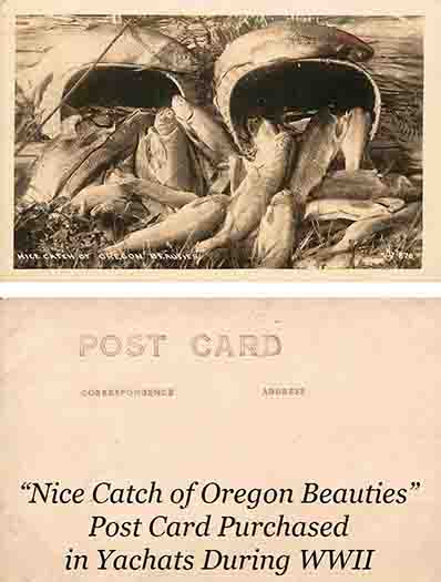 A postcard from Yachats of fish from the 1940s